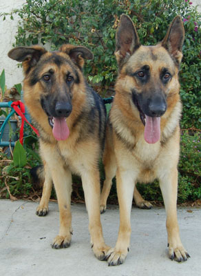 Elsa and Iva von La Brea standing